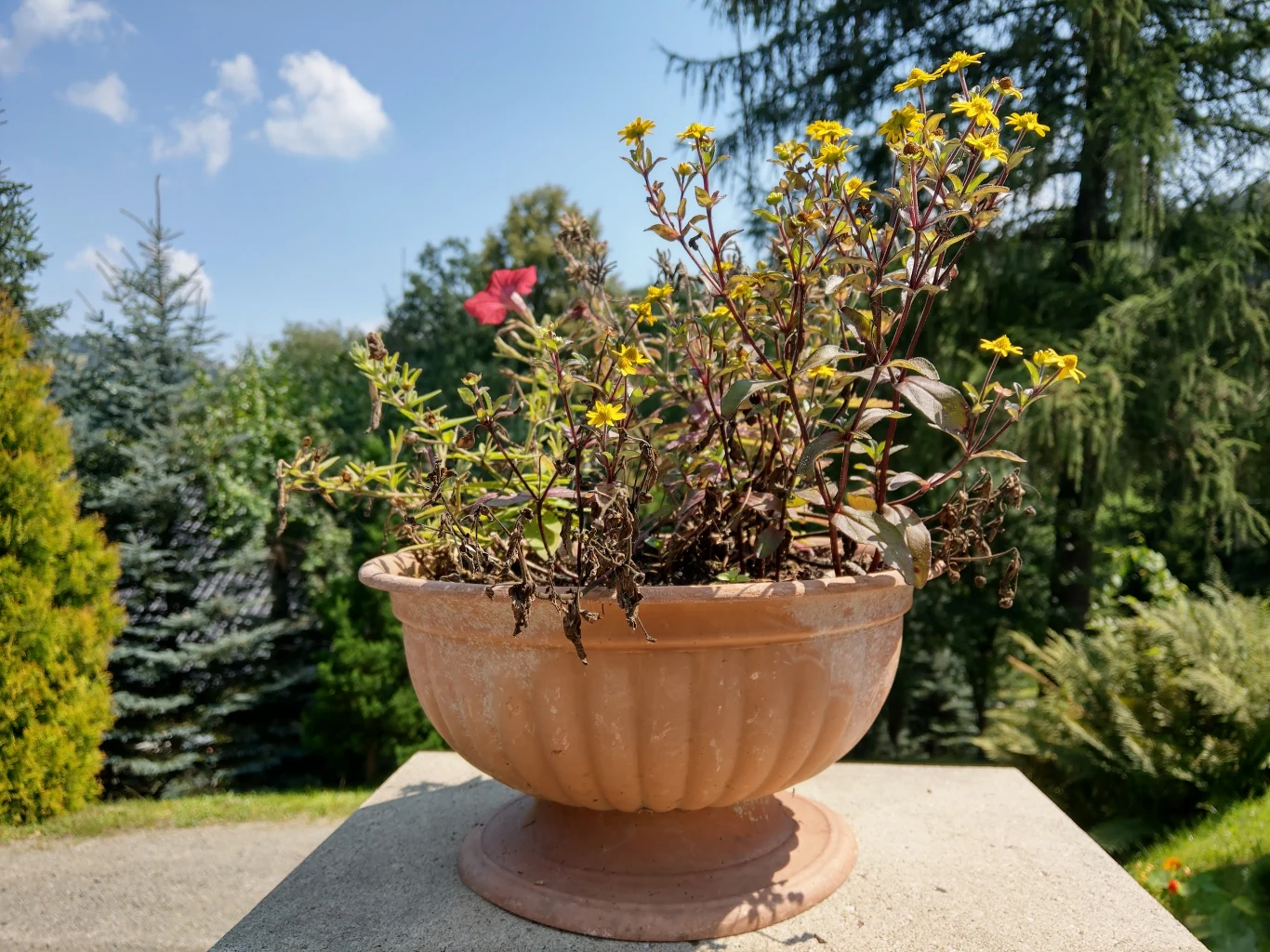 HTC U12+ przykładowe zdjęcie HTC U12+ przykładowe zdjęcie