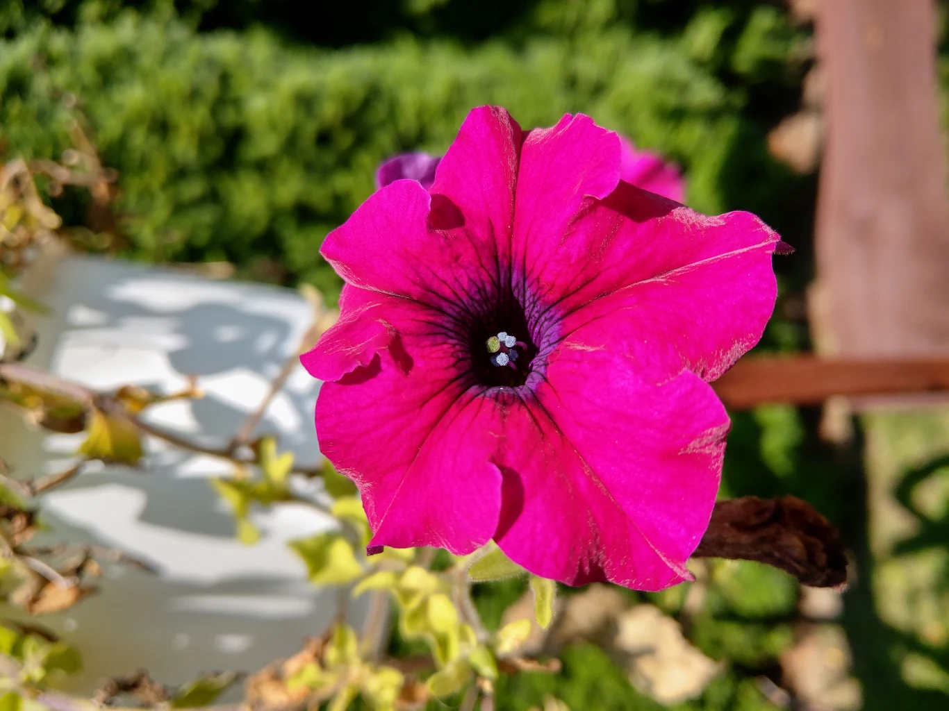 HTC U12+ przykładowe zdjęcie HTC U12+ przykładowe zdjęcie