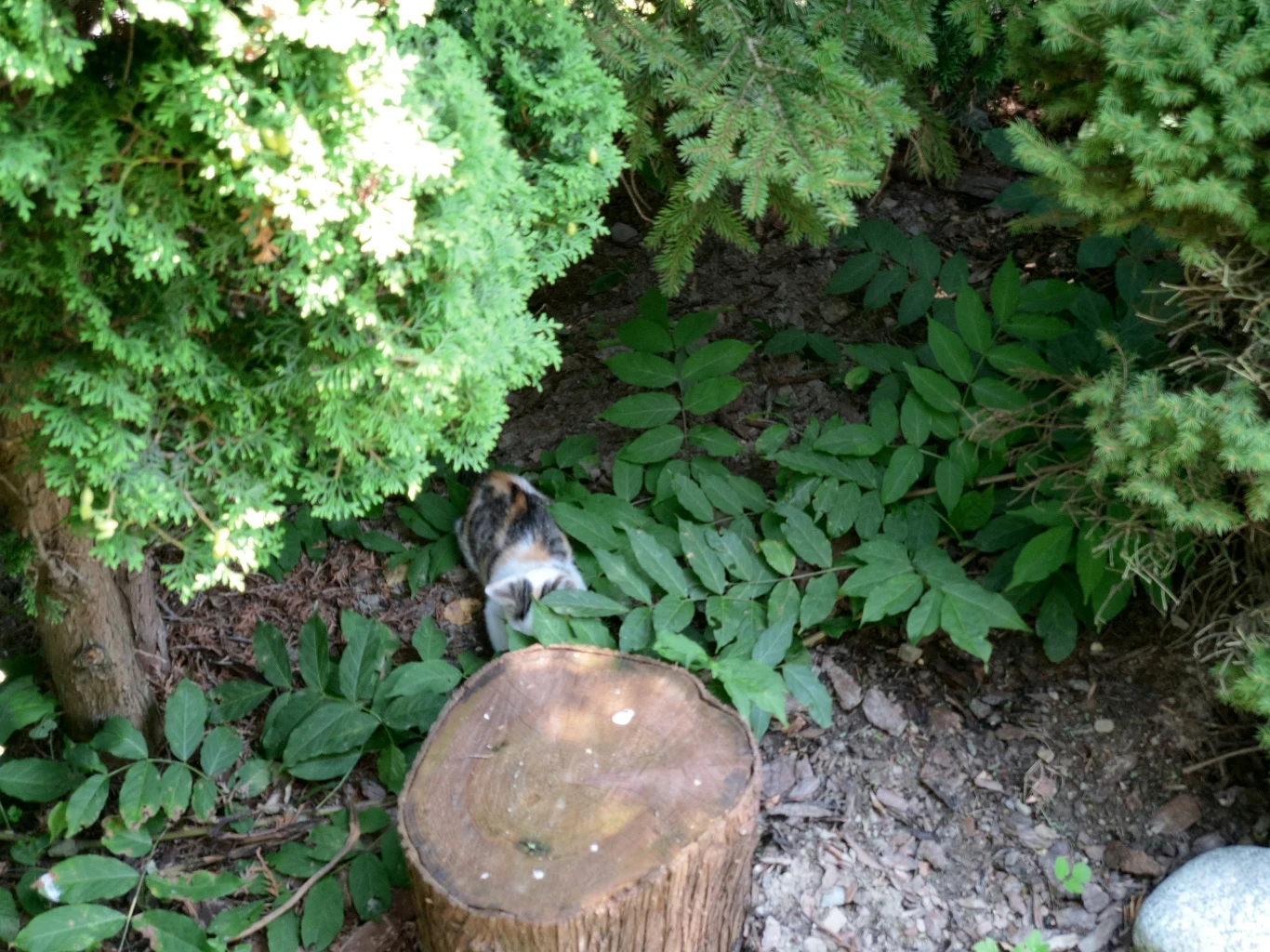 HTC U12+ przykładowe zdjęcie HTC U12+ przykładowe zdjęcie