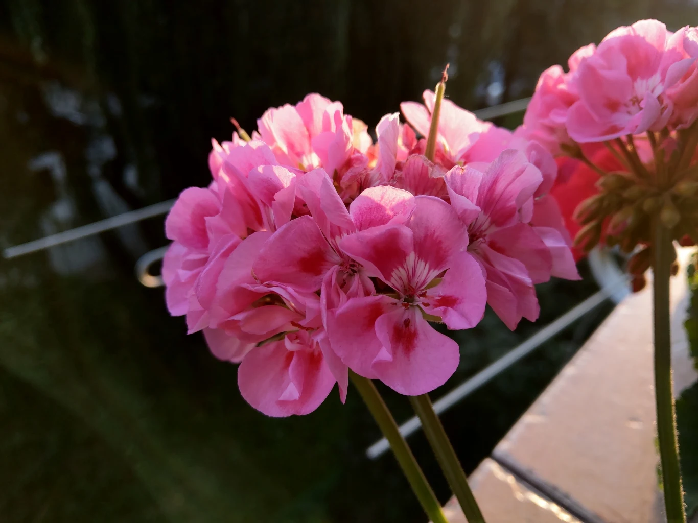 HTC U12+ przykładowe zdjęcie HTC U12+ przykładowe zdjęcie