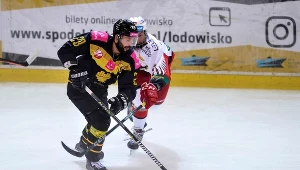 Sparing hokejowy w Katowicach 