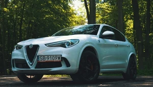 Alfa Romeo Stelvio Quadrifoglio – wzór sportowego SUVa