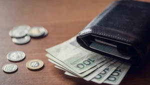 Mężczyzna znalazł portfel na ulicy, ale go nie oddał. Za przywłaszczenie może mu grozić kara więzienia