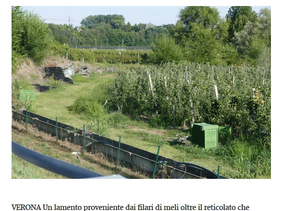 fot. https://corrieredelveneto.corriere.it fot. https://corrieredelveneto.corriere.it