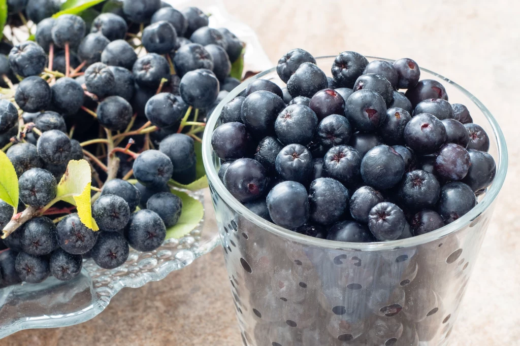 Aronia ma silne właściwości oczyszczające