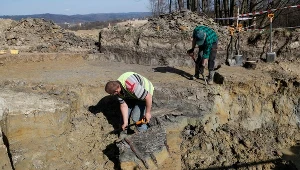 To kolejne odkrycie na Podkarpaciu. W kwietniu w Sanoku odkryto osadę celtycką z III w p.n.e.