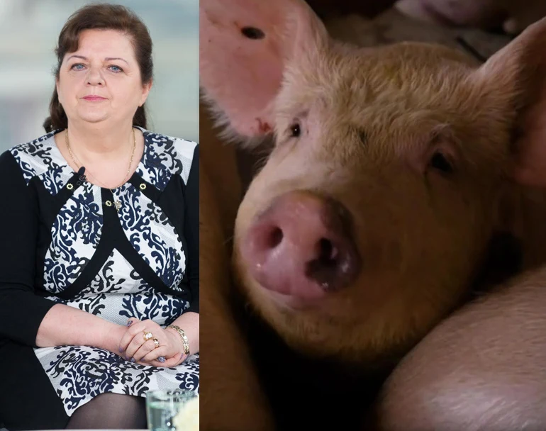 Renata Beger i "świńska afera" Renata Beger i "świńska afera"