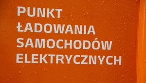 Według ministra główny problem to brak punktów ładowania. Według ekspertów - ceny aut elektrycznych