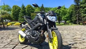 Yamaha MT-125 - dobry wstęp do świata motocykli