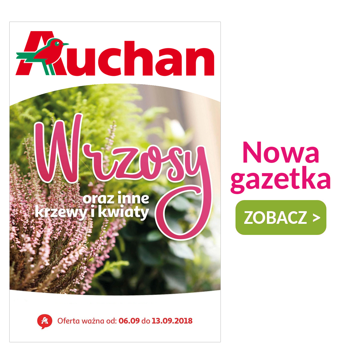 Gazetka Auchan