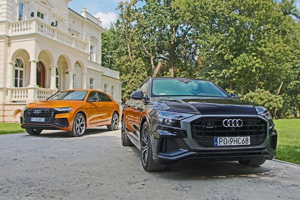 Audi Q8 50 TDI