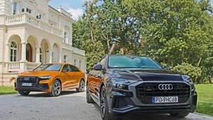 Audi Q8 50 TDI