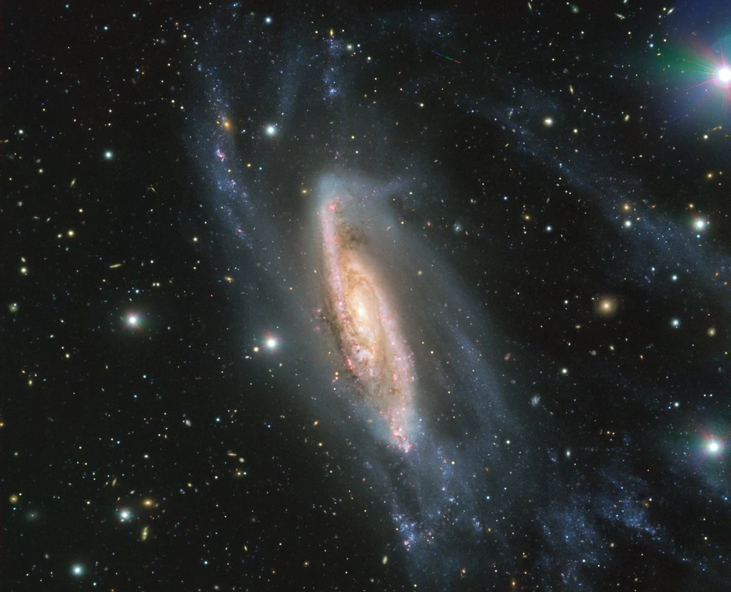 Niesamowite zdjęcie galaktyki spiralnej NGC 3981