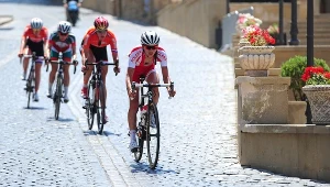 Katarzyna Niewiadoma