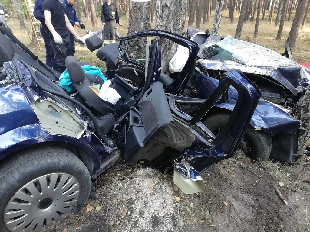 Kierowca zginął, jego żona aż do rana czekała na pomoc / Fot: Straż pożarna