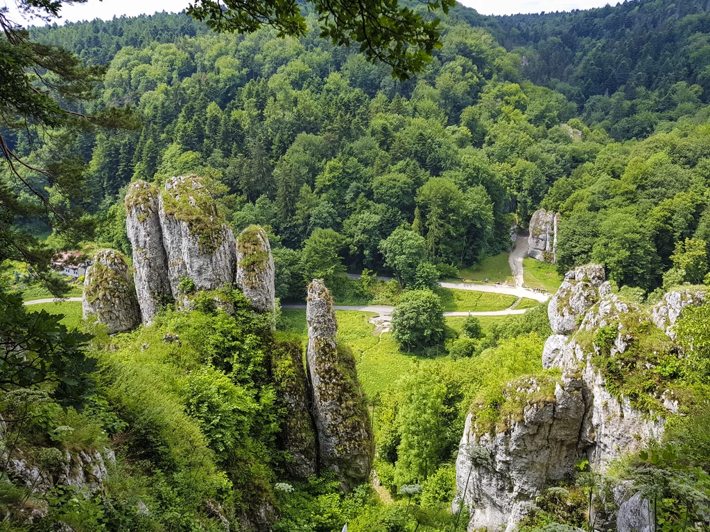 Ojcowski Park Narodowy jest znany z charakterystycznych strzelistych skał