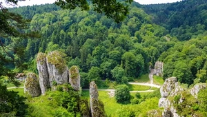 Piękna i idealna na weekend! Jura Krakowsko-Częstochowska to "polska Szwajcaria"