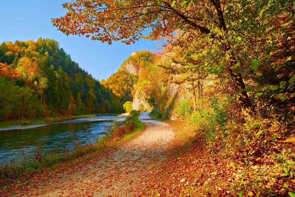 Dokąd na urlop jesienią? Oto najpiękniejsze miejsca w Polsce