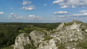 Na zdjęciu: Jura Krakowsko-Częstochowska