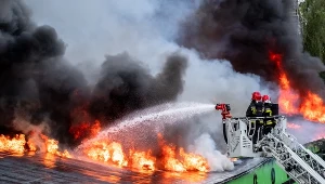 Pożar w firmie produkującej opakowania w Poznaniu wybuchł w niedzielę rano 
