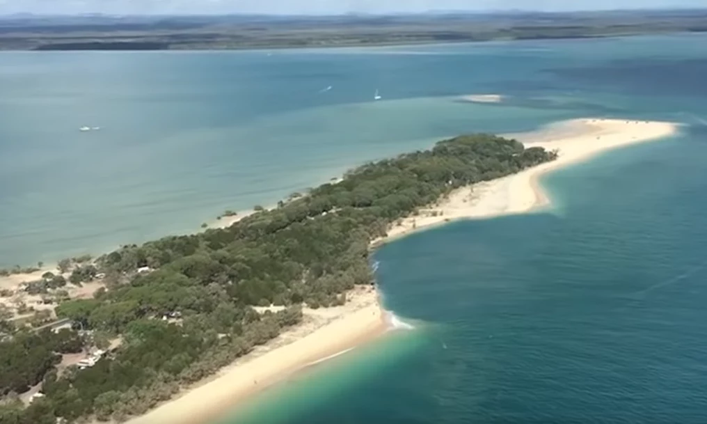 Taka struktura powstała na australijskiej plaży