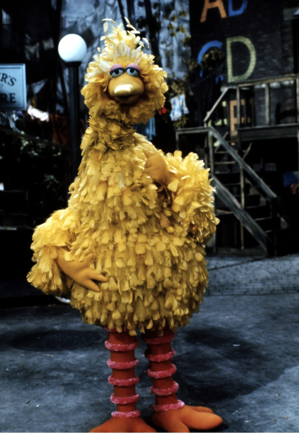 Dominika została porównana do Wielkiego Ptaka z programu "Ulica Sezamkowa" 