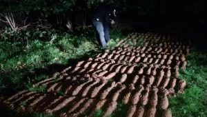 Zabezpieczona amunicja