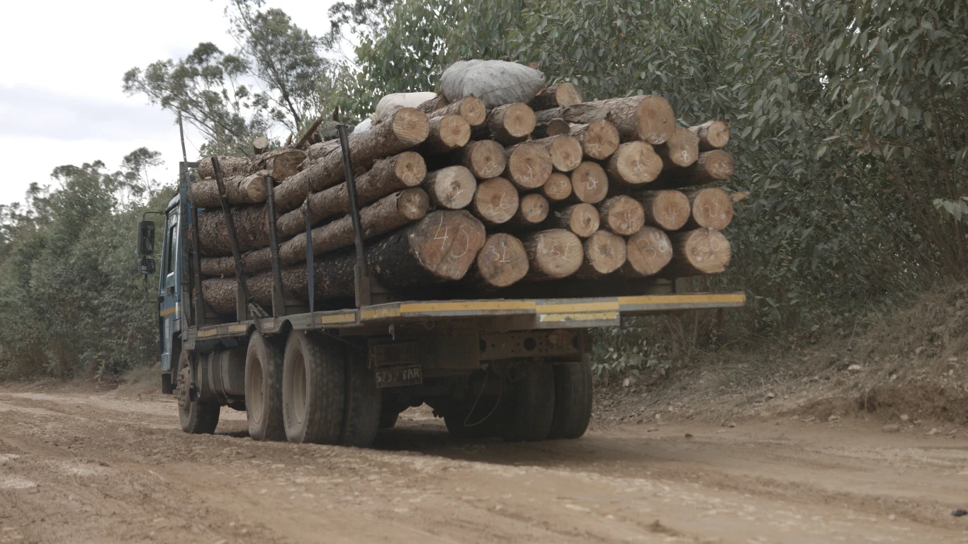 Kadr z filmu "Alaotra: Endangered Treasures of Madagascar" Kadr z filmu "Alaotra: Endangered Treasures of Madagascar"