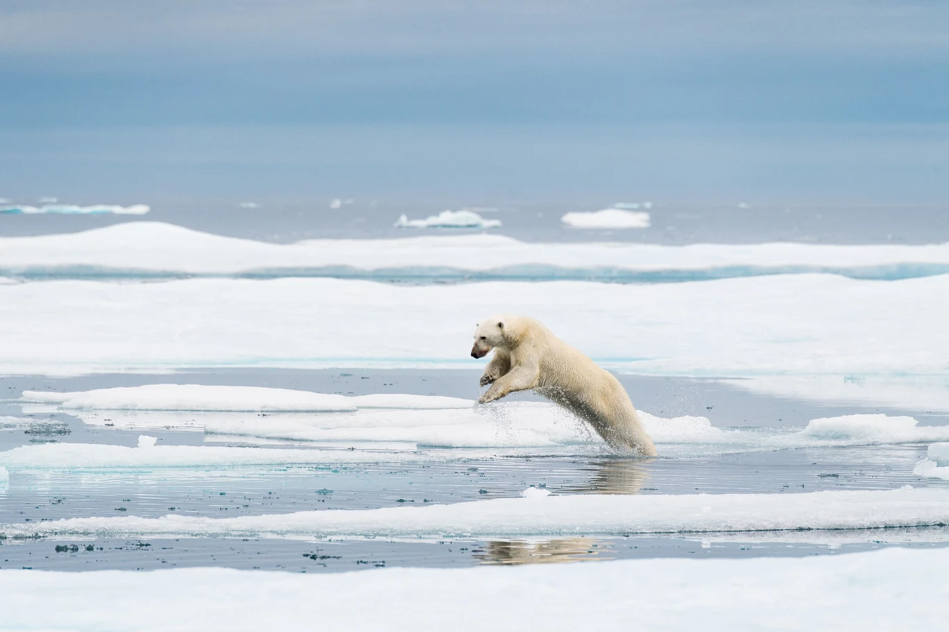 Kadr z filmu "I am fragile" Kadr z filmu "I am fragile"