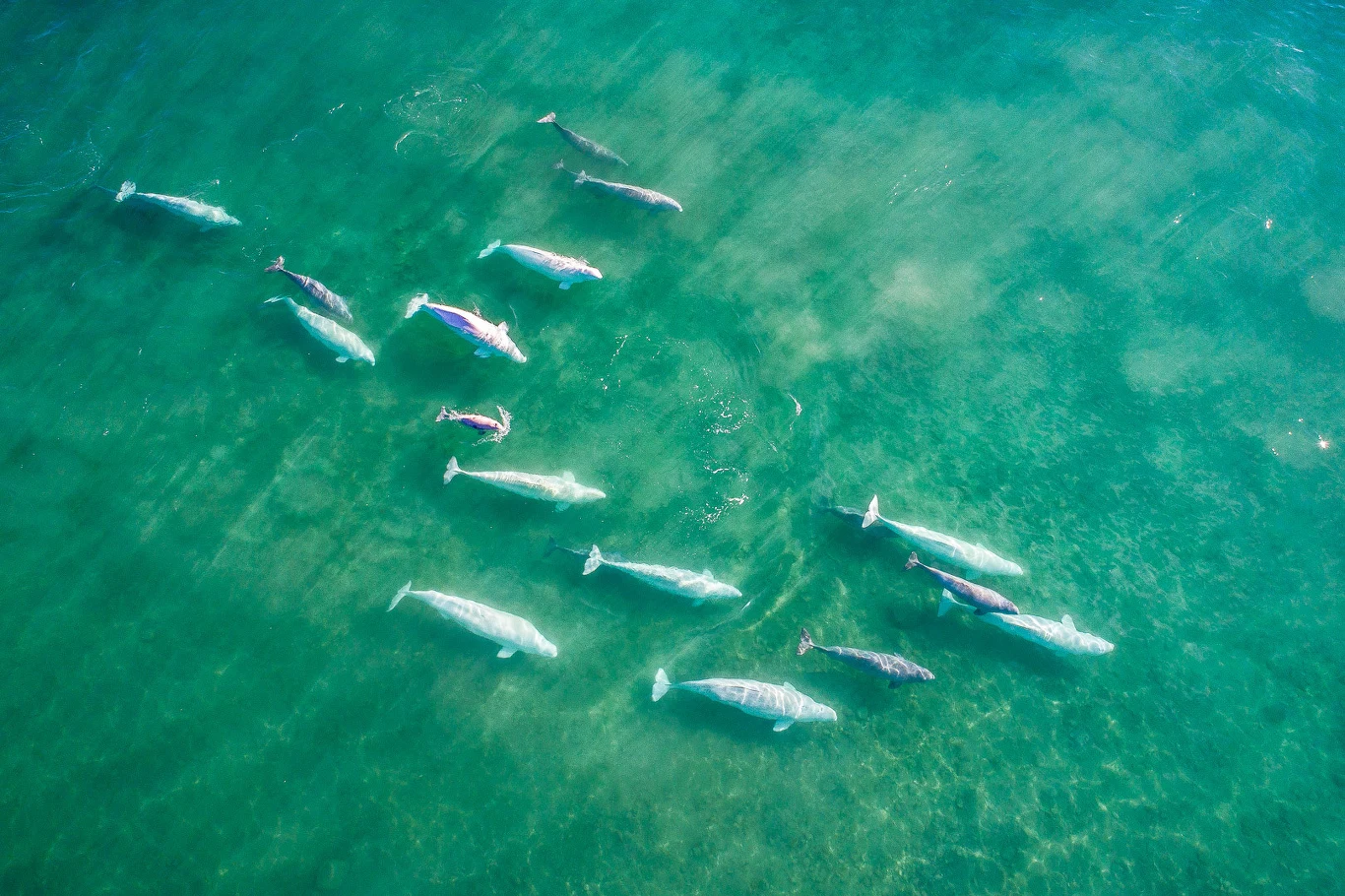 Kadr z filmu "I am fragile" Kadr z filmu "I am fragile"