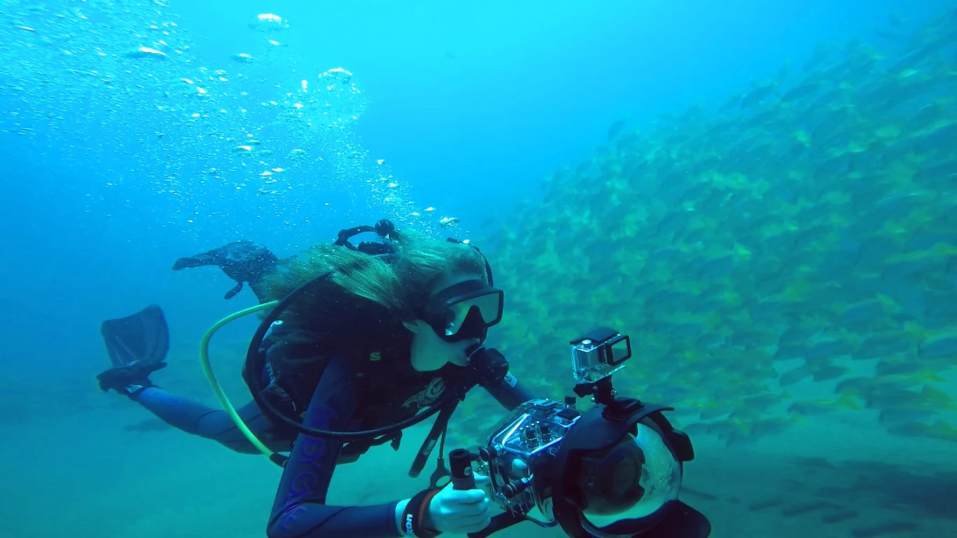 Kadr z filmu "Sea of Life" Kadr z filmu "Sea of Life"