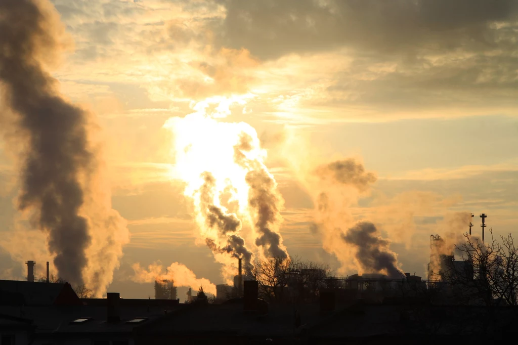 Jakość powietrza w Polsce, zwłaszcza jesienią i zimą, jest jedną z najgorszych w Europie.