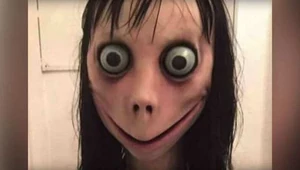 Momo Challenge - eksperci ostrzegają przed kradzieżą danych osobowych