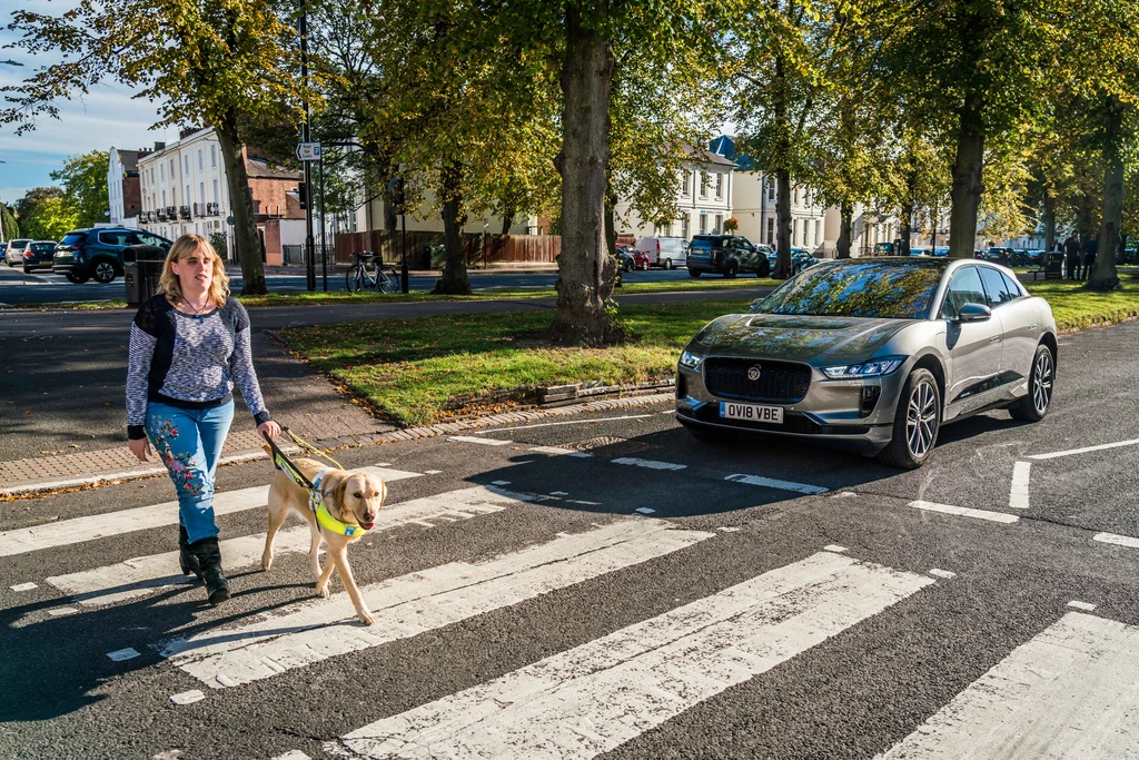 Dźwięk ma ostrzegać osoby niewidome, ale również wpatrzone w smartfony