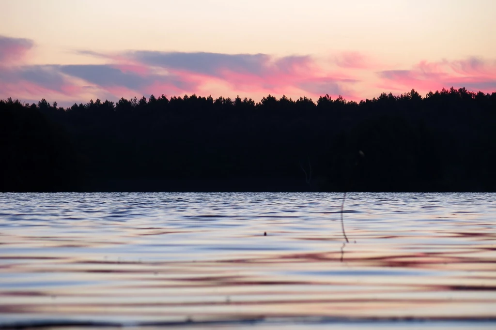 Momoty leżą około 12 km od Janowa Lubelskiego