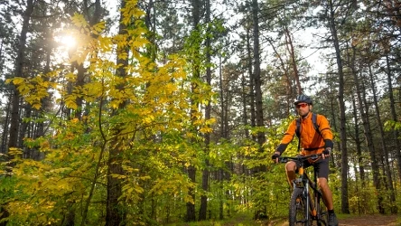 Pętla rowerowa Lasy Rudzkie to jedna ze spokojniejszych ścieżek 