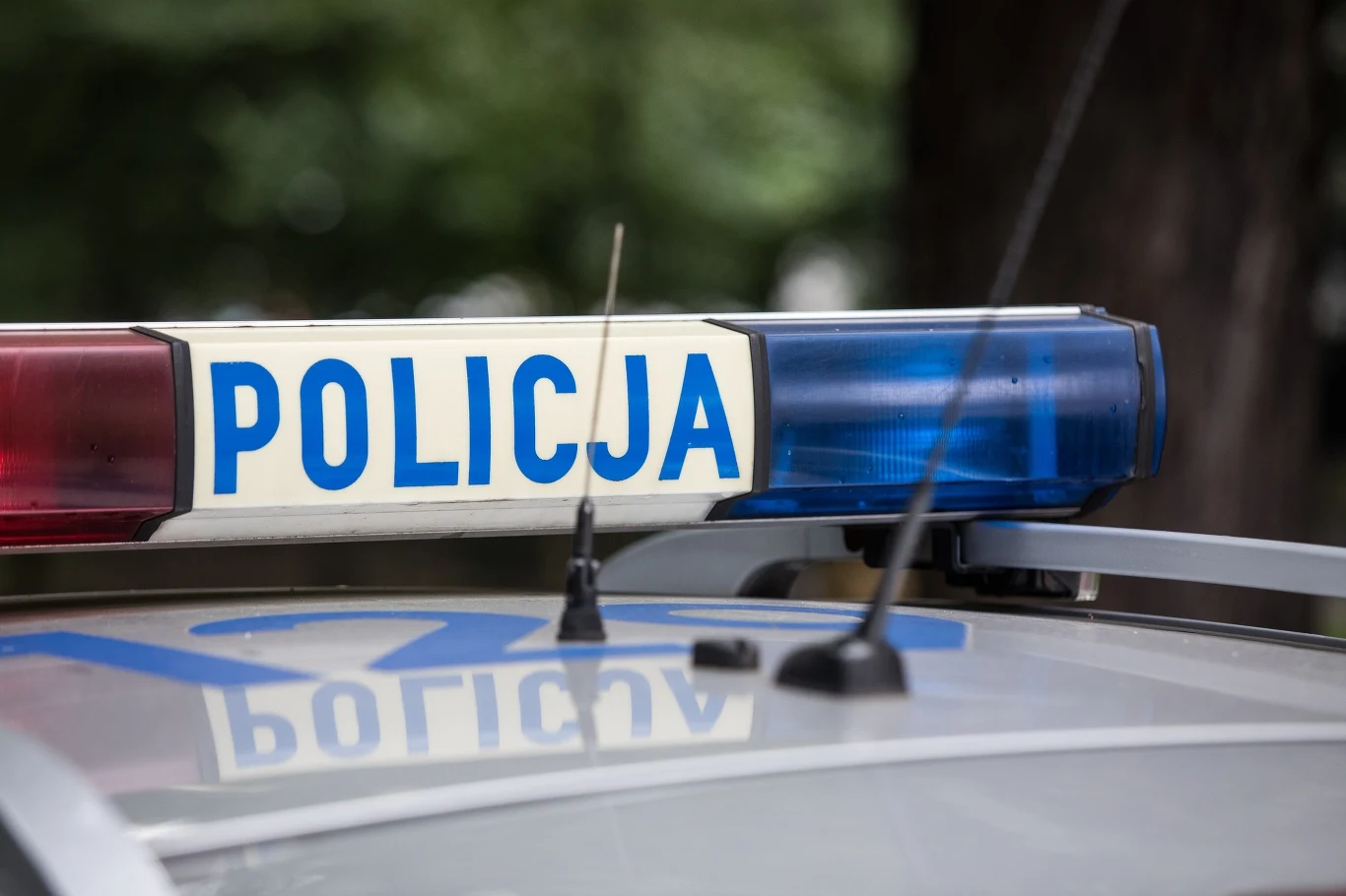 Zdj. ilustracyjne Zdj. ilustracyjne