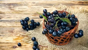 Aronia zapobiega chorobom oczu 