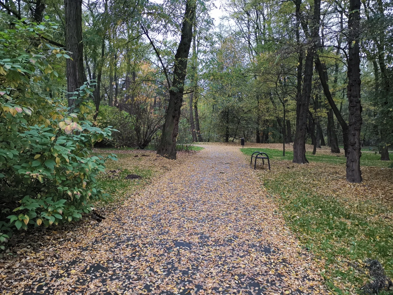 Huawei Mate 20 Pro - przykładowe zdjęcia