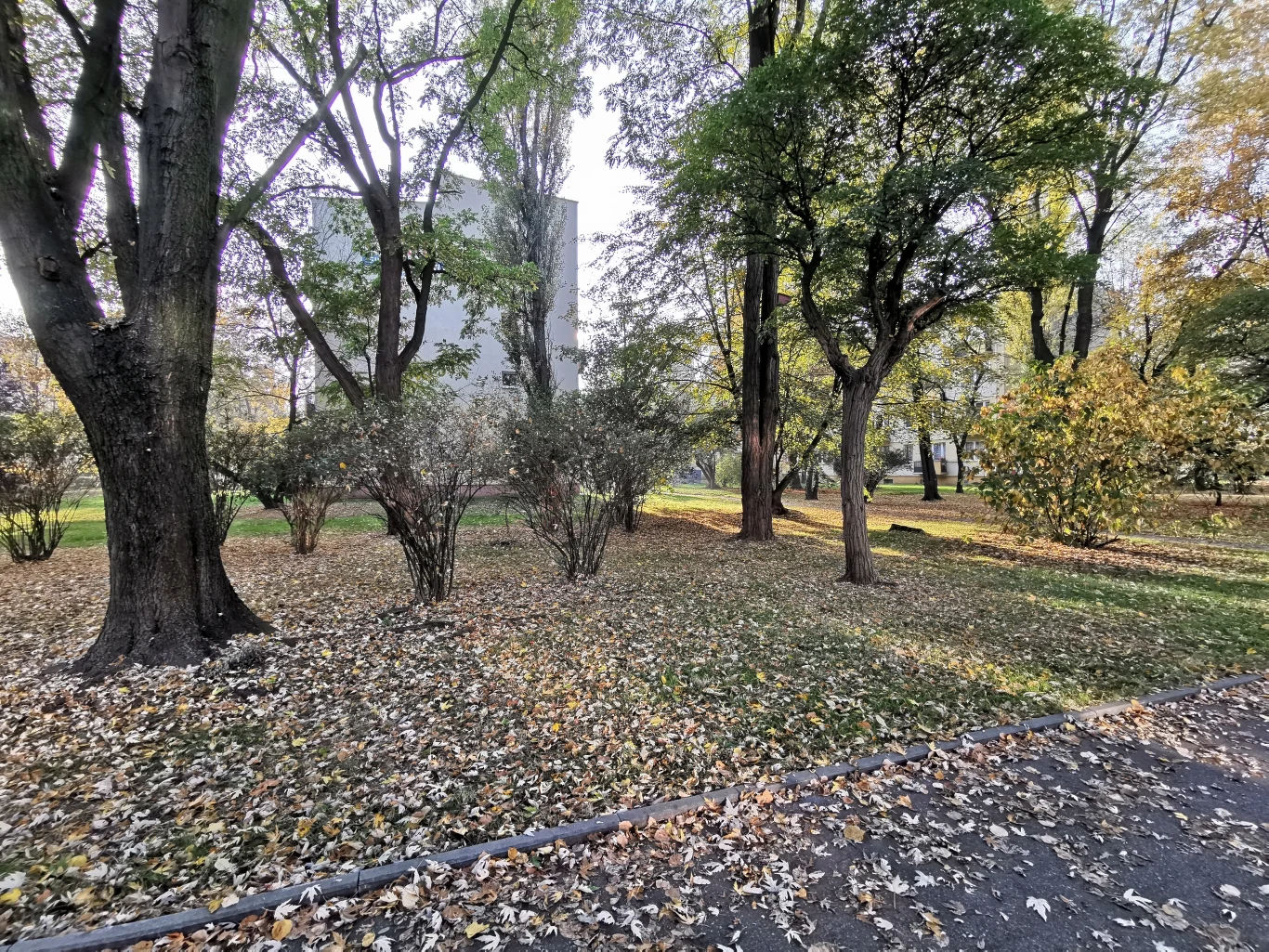 Huawei Mate 20 Pro - przykładowe zdjęcia