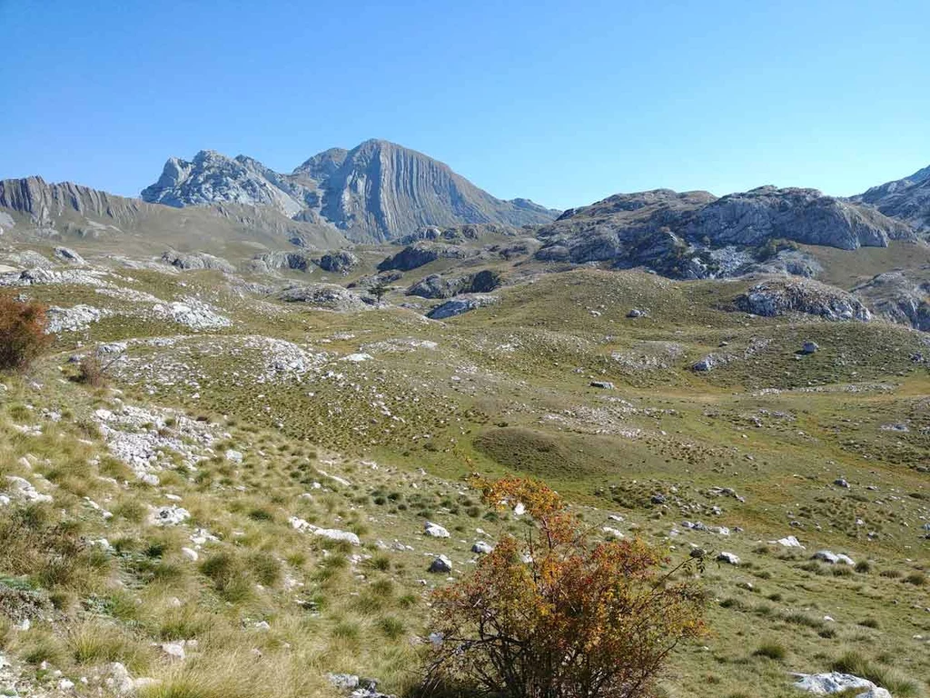 Miłośnicy gór powinni odwiedzić Park Narodowy Durmitor