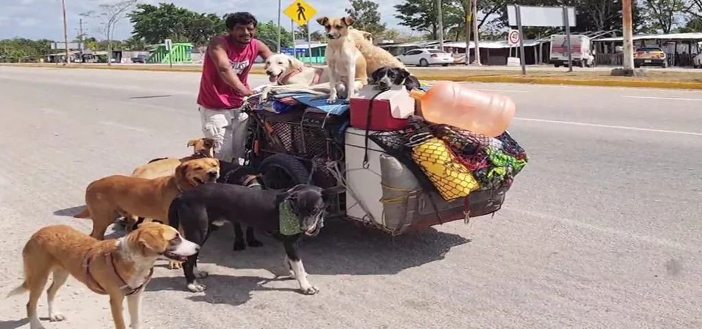 "Perros" podróżuje na rowerze z grupą najbardziej lojalnych psów