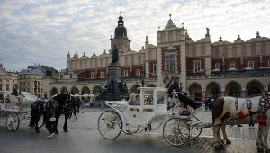 Jednym z elementów wszczętego śledztwa ma być upadek konia pod Wawelem, do którego doszło 10 października; zdj. ilustracyjne