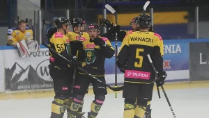 Hokeiści Tauronu KH GKS-u Katowice