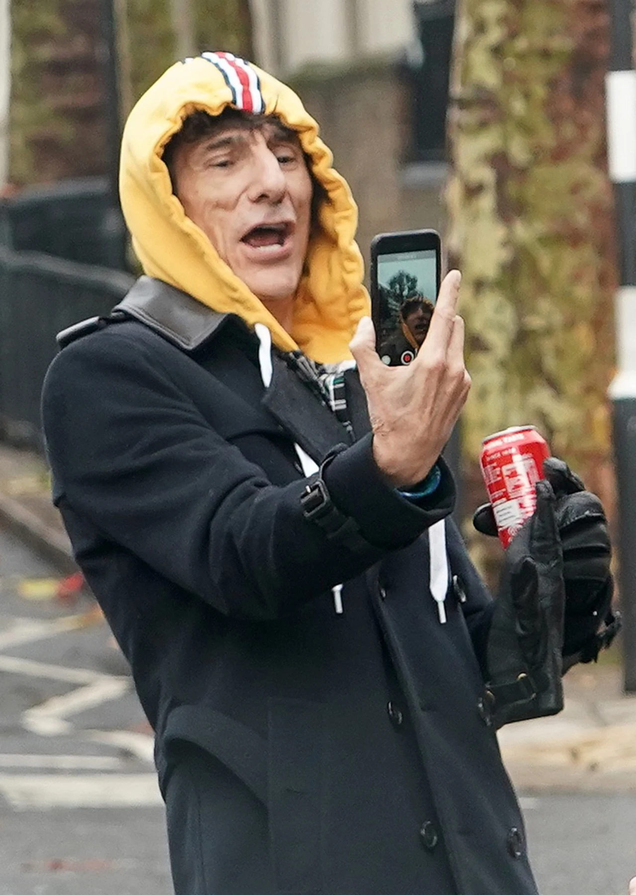 Ronnie Wood Ronnie Wood