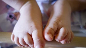 Zdjęcie ilustracyjne