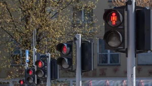 Czerwone światło dla pieszych ma być tylko "wskazówką"?