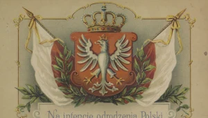 Niepodległość wywalczono nie tylko bronią