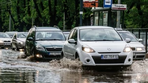 Czy wszyscy kierowcy na tym zdjęciu mają włączone prawidłowe światła?