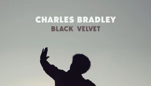 ​Recenzja Charles Bradley "Black Velvet": Czarna perła